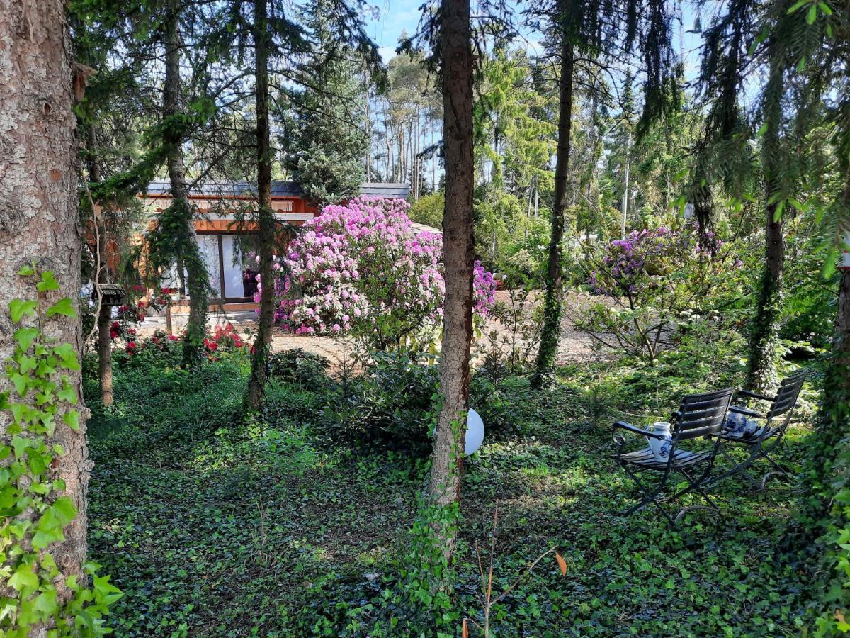Ferienhaus Leon Mit Sauna Rehburg-Loccum Kültér fotó