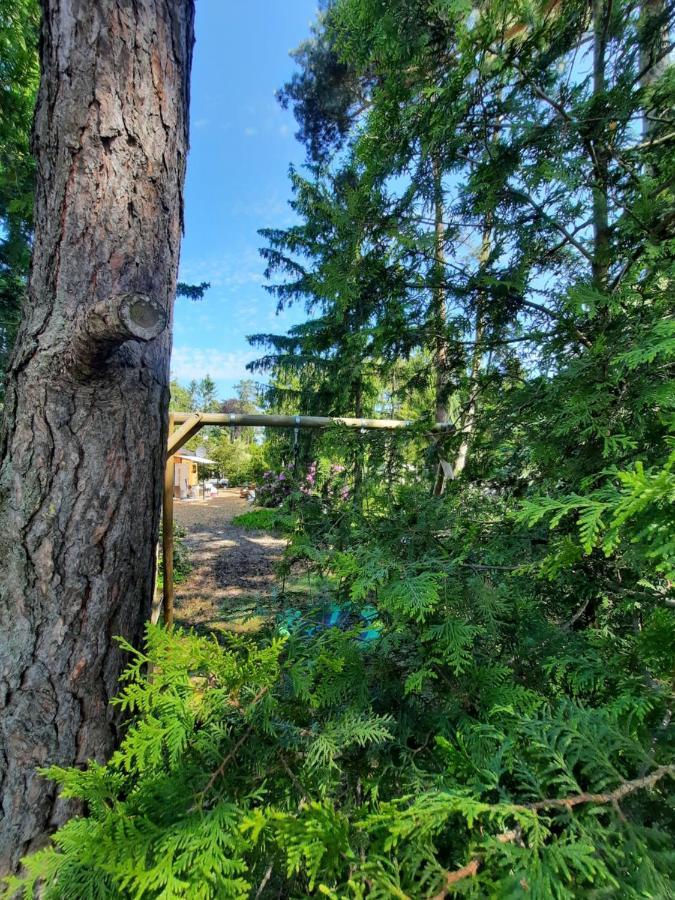 Ferienhaus Leon Mit Sauna Rehburg-Loccum Kültér fotó