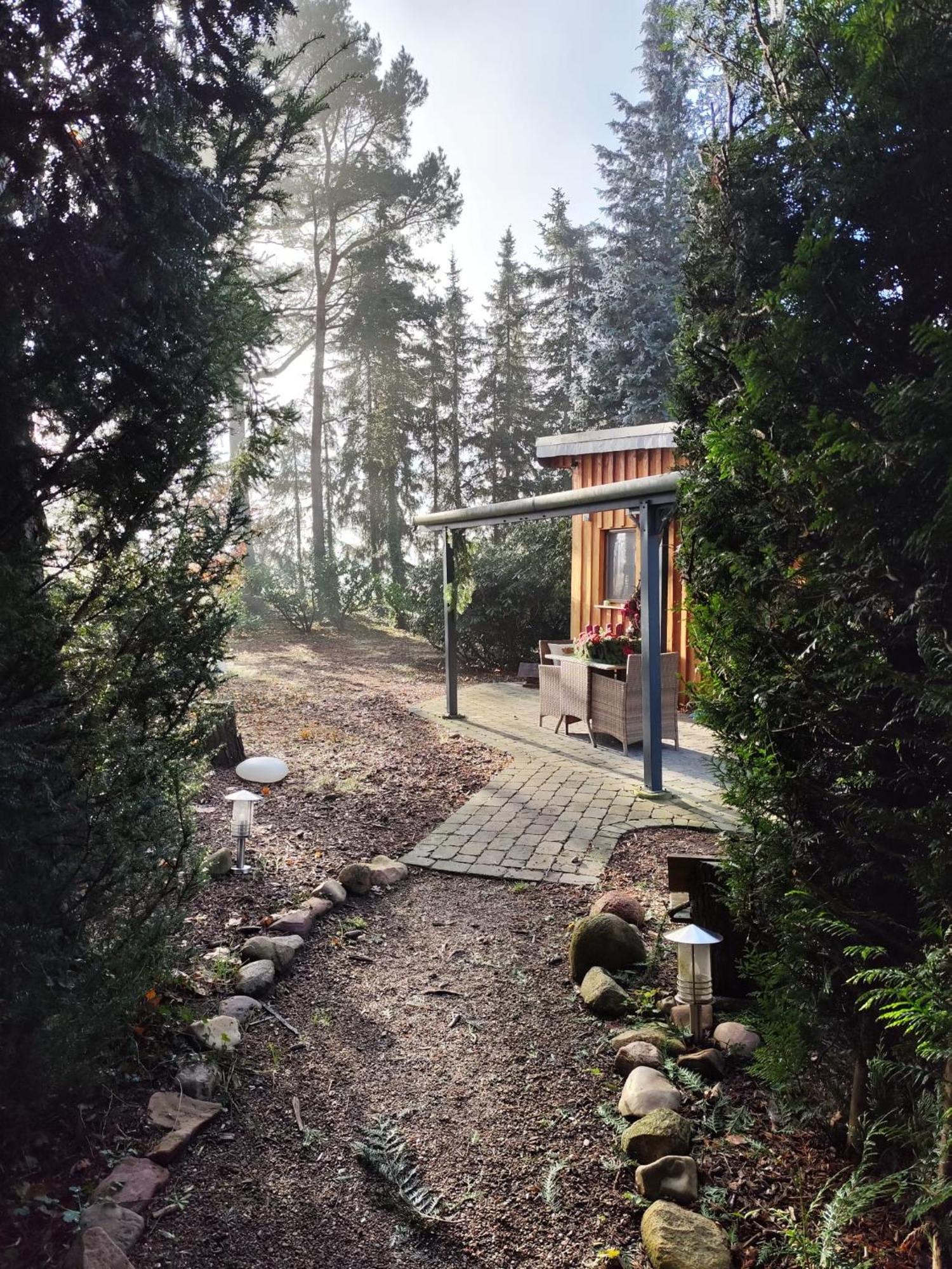 Ferienhaus Leon Mit Sauna Rehburg-Loccum Kültér fotó
